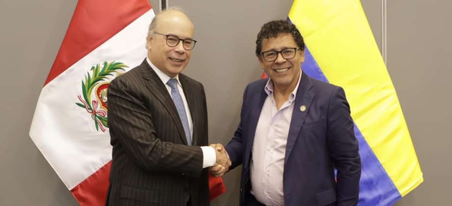 Colombia y Perú reafirman cooperación en la frontera amazónica en la XIV Reunión de la Comisión Mixta de Inspección